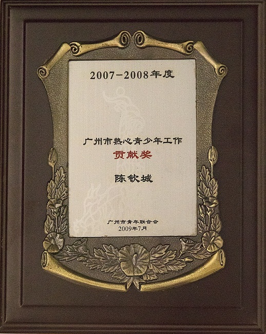 2009热心青少年工作突出贡献奖
